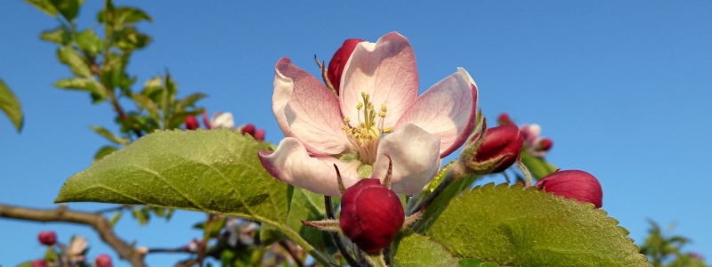 Idyllische Winkel  GBR