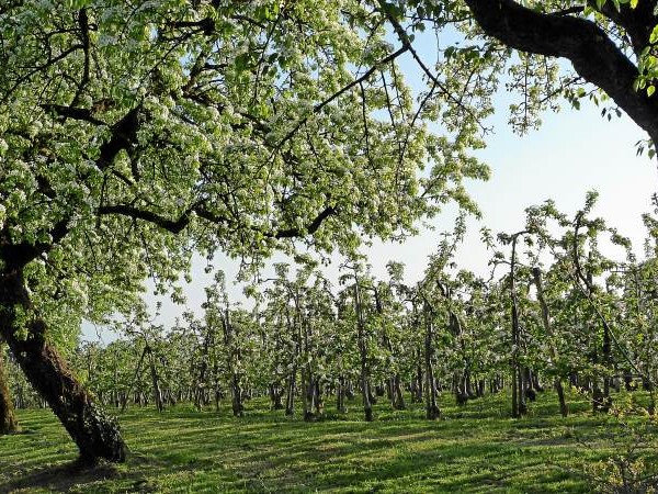 Lindaus Brunnen erzählen Geschichten 
